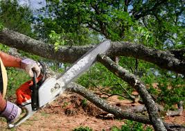 Best Tree Removal Services  in Moses Lake North, WA